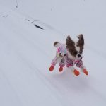 20190202_110551